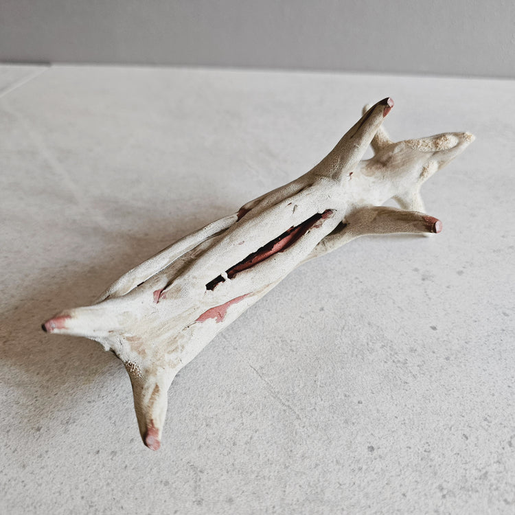 Animale / grès crema e smalti vulcanici (Copia)