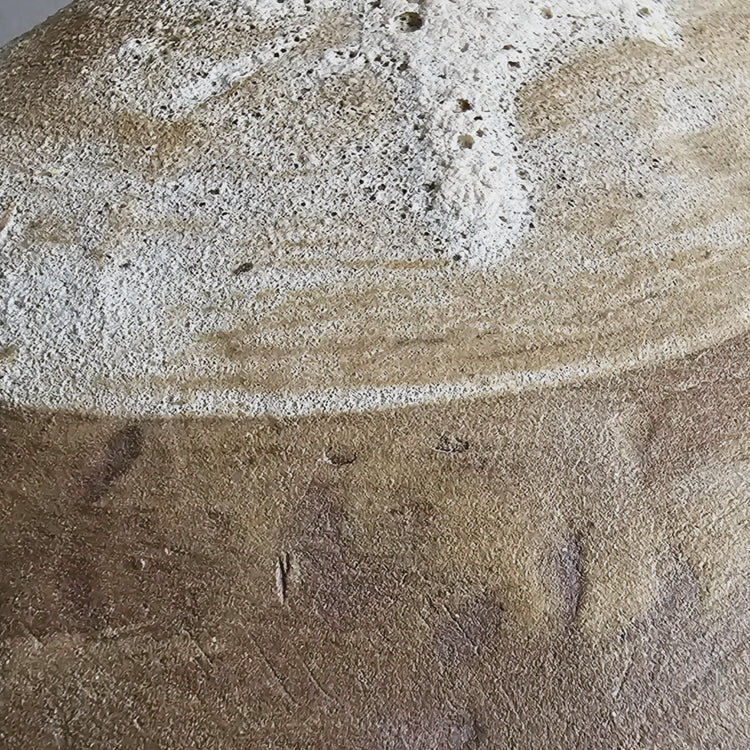 Efeso / vaso in grès rosso stratificato bianco