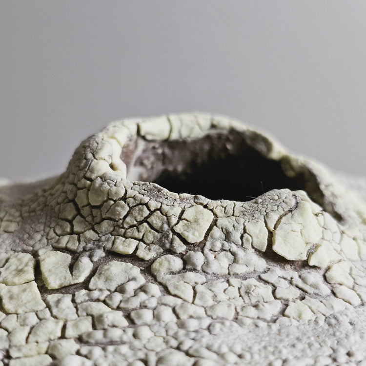 Efeso / vaso in grès rosso stratificato bianco