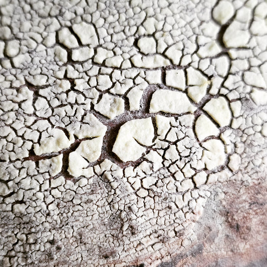 Efeso / vaso in grès rosso stratificato bianco e nero