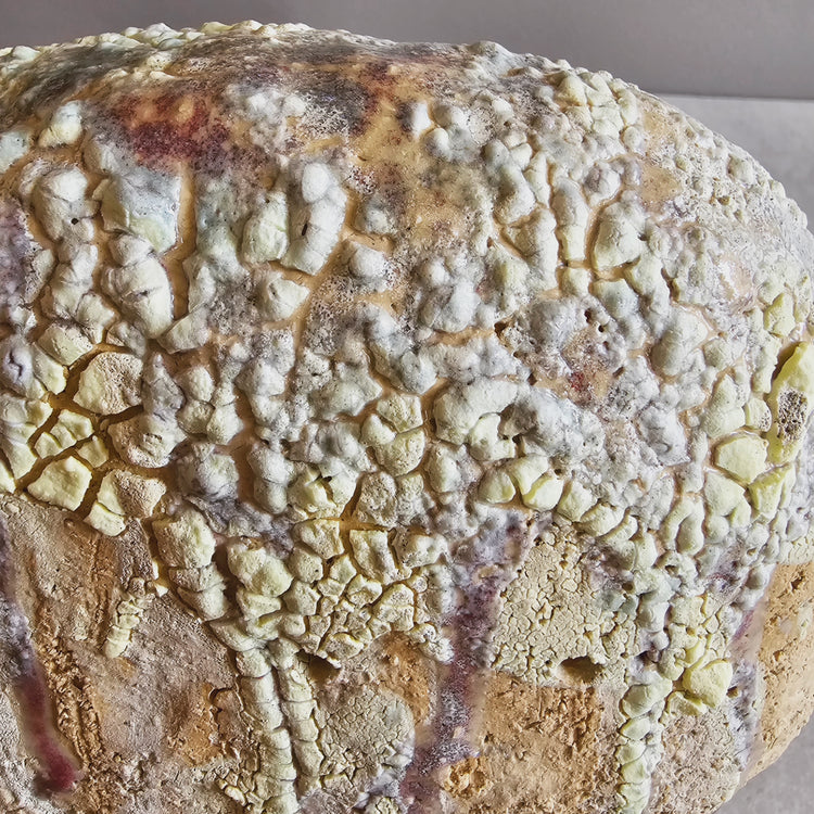 Pet / scultura in grès e smalti stratificati