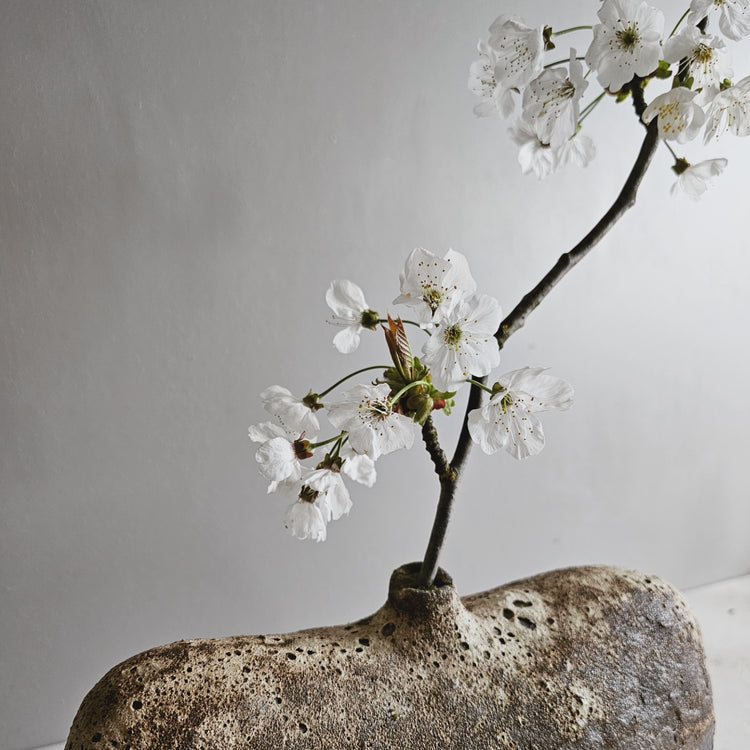 Pompei / vaso in grès nero stratificato