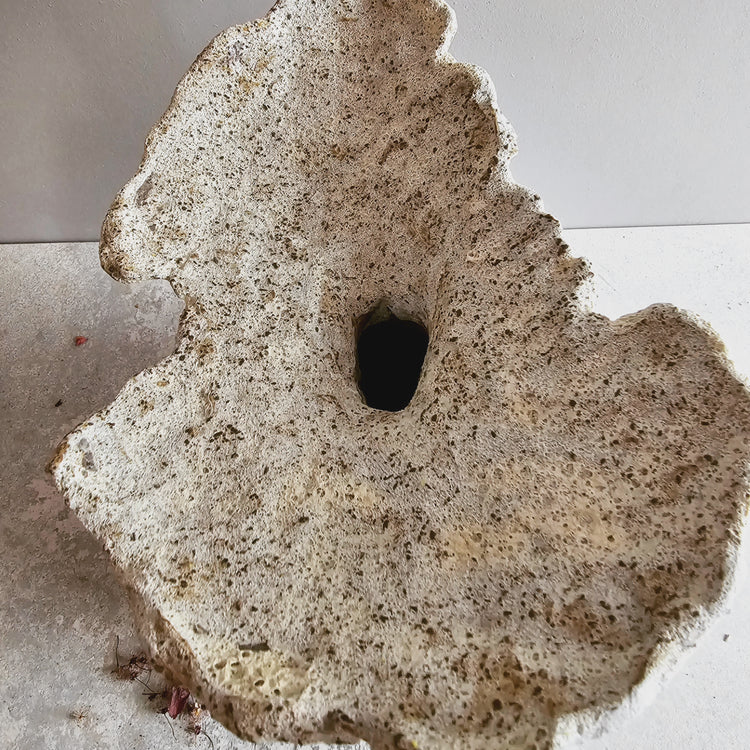 Fiore di roccia / vaso in grès rosso e smalto bianco