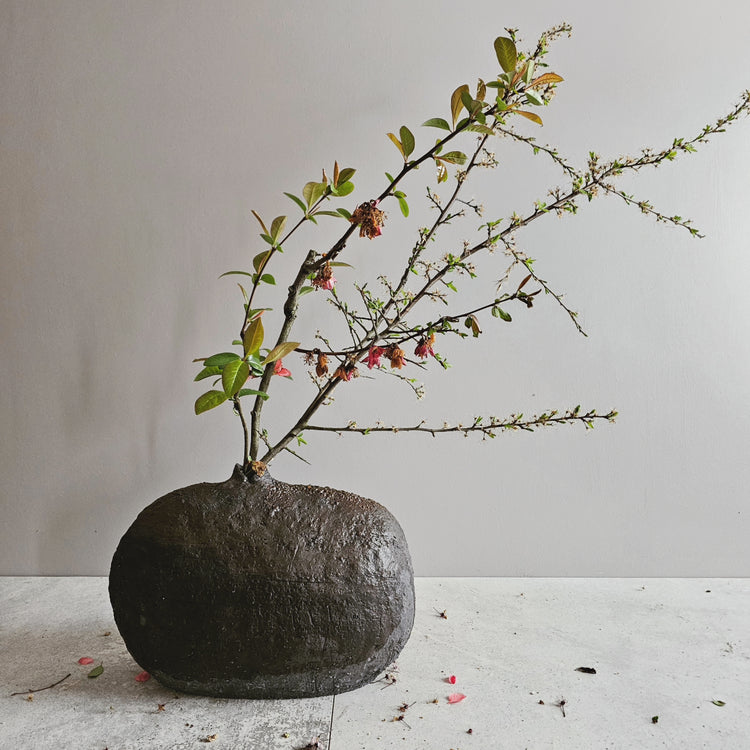 Obscura / vaso in grès bruno-nero