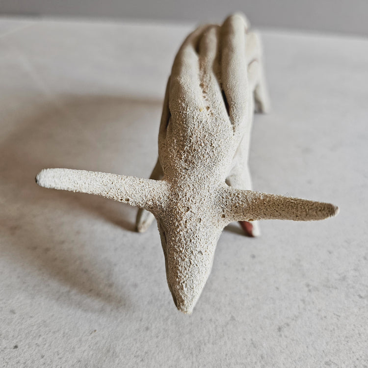 Animale / grès crema e smalti vulcanici (Copia)