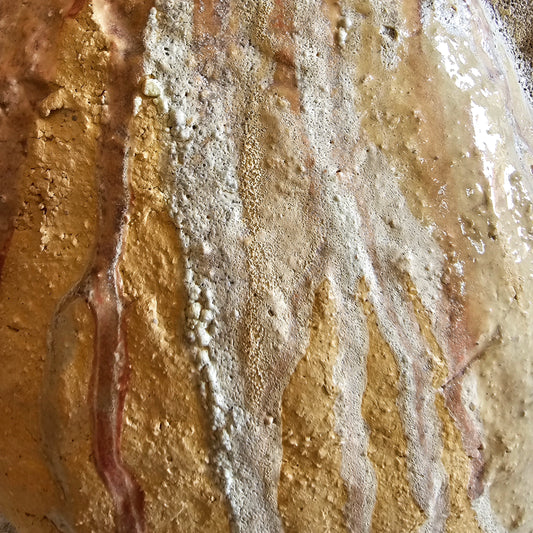 Pet / scultura in grès e smalti stratificati