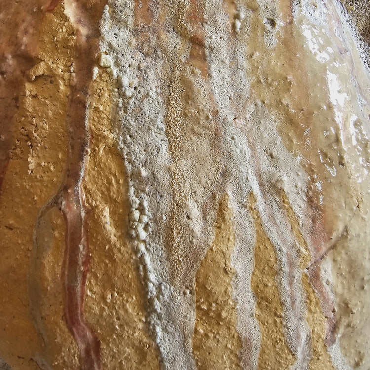 Pet / scultura in grès e smalti stratificati