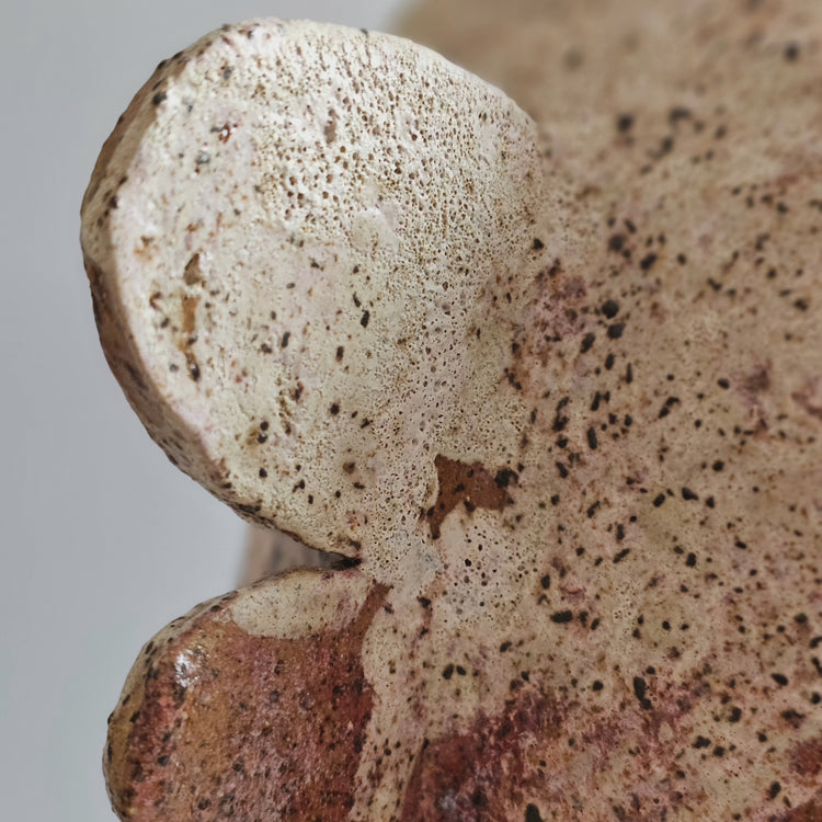 Fiore di roccia / vaso in grès rosso e smalto bianco