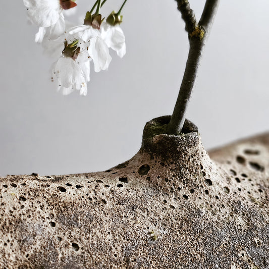 Pompei / vaso in grès nero stratificato