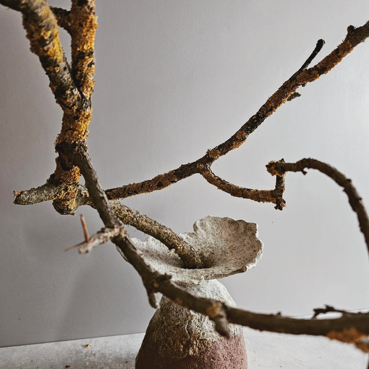 Fiore di roccia / vaso in grès rosso e smalto bianco
