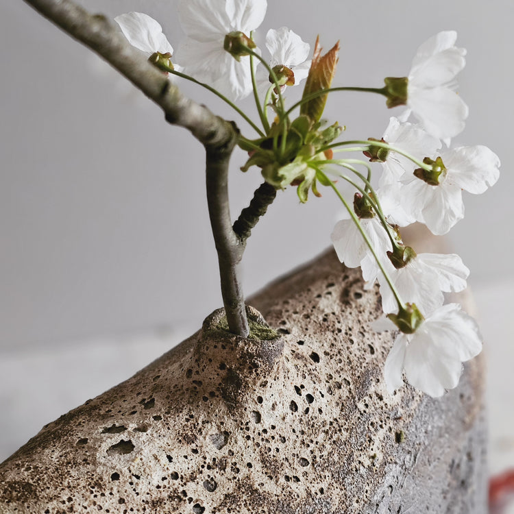Pompei / vaso in grès nero stratificato